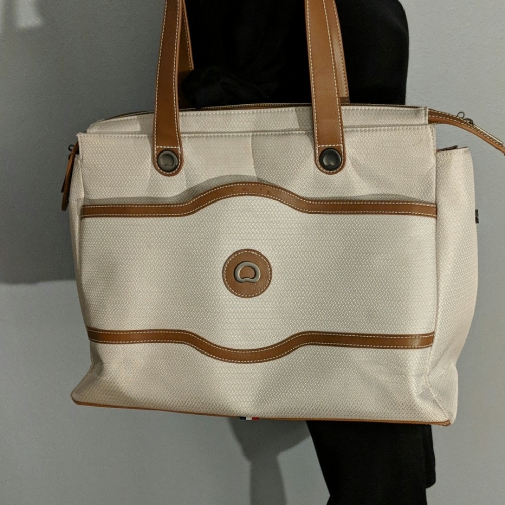 Large Delsey Paris travel computer bag